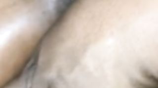 Mama Wolf got a new Chew Toy