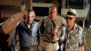 Vintage, Hairy, Tan Lines, Barn Strip, Teens